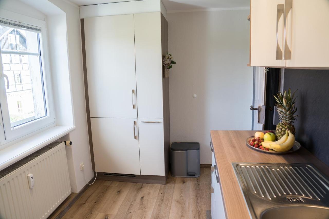 Apartmán Urlaubsfreude Biedermann Haus Gluecksstein - Mondstein Bad Schandau Exteriér fotografie