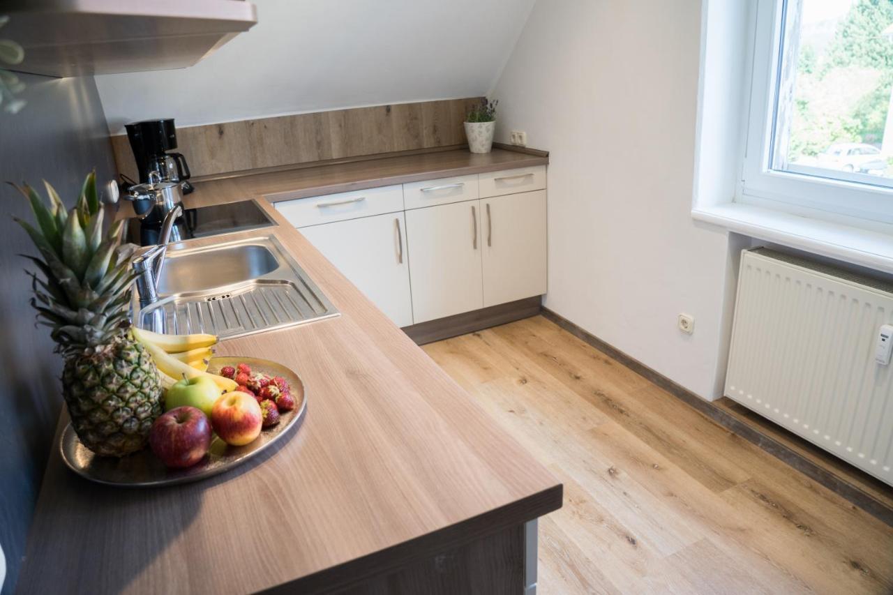 Apartmán Urlaubsfreude Biedermann Haus Gluecksstein - Mondstein Bad Schandau Exteriér fotografie