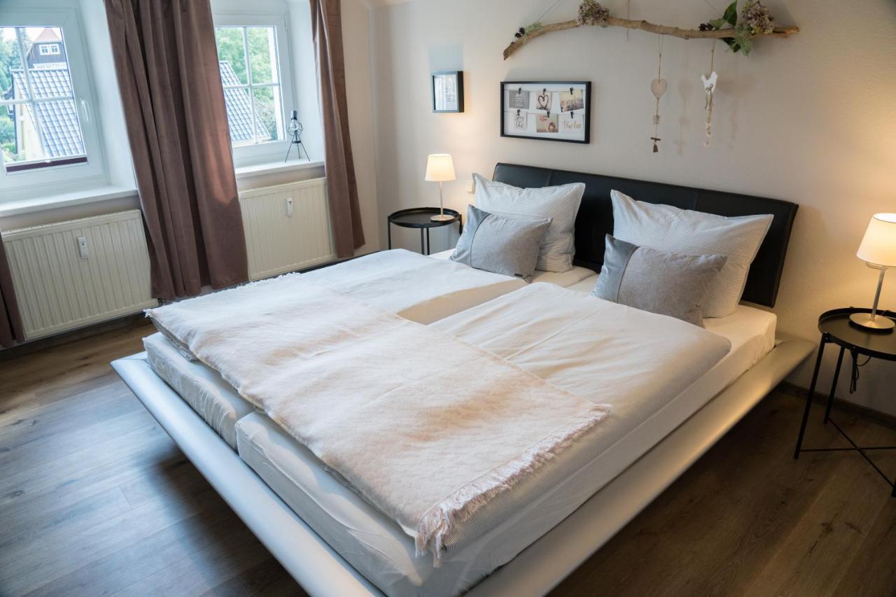 Apartmán Urlaubsfreude Biedermann Haus Gluecksstein - Mondstein Bad Schandau Exteriér fotografie